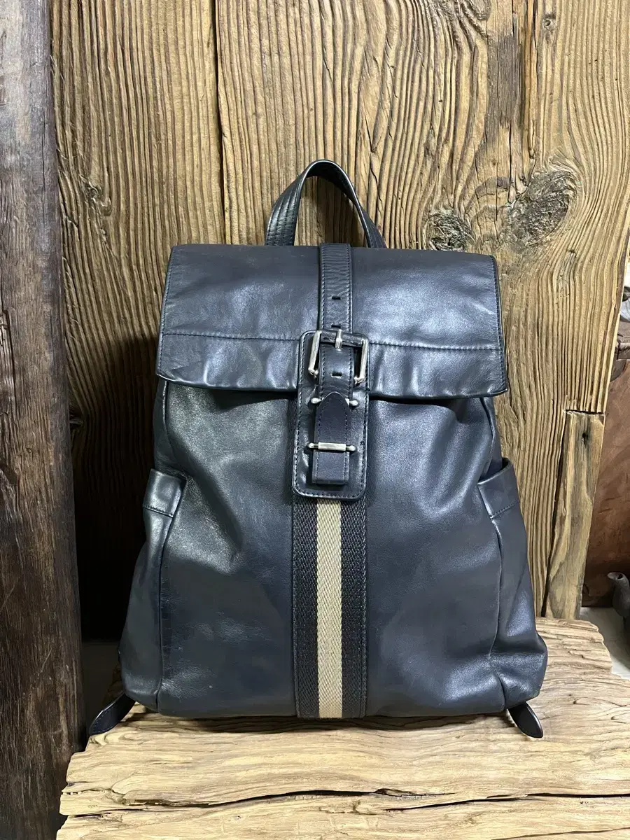 【超美品】BALLY ナイロンリュック　正規品 VitaFelice リュック レディース 大容量 A4 ナイロン 背面